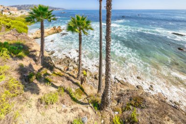 Treasure Island Park, Orange County, Kaliforniya, ABD 'deki palmiye ağaçları ile Laguna Sahili' nin güzel manzarası..