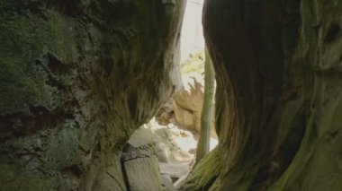Bubnyshche 'deki Dovbush Kayaları, içeriden görünen antik mağara manastırı, Ukrayna' daki güzel ağaçlar ve Karpatya Dağları arasındaki muhteşem kayalar. Video 4K