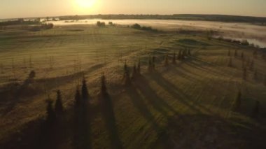 Havadan güzel büyülü manzara ufku, insansız hava aracı üstgeçişi, sisli, bulut tarlası gölü ve ormandaki gündoğumunun altın panoramik manzarası. 4K video
