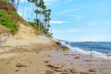 Treasure Island Park, Orange County, Kaliforniya, ABD 'deki palmiye ağaçları ile Laguna Sahili' nin güzel manzarası..