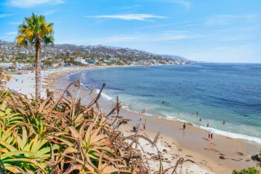 Treasure Island Park, Orange County, Kaliforniya, ABD 'deki palmiye ağaçları ile Laguna Sahili' nin güzel manzarası..