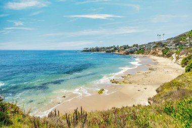 Treasure Island Park, Orange County, Kaliforniya, ABD 'deki palmiye ağaçları ile Laguna Sahili' nin güzel manzarası..