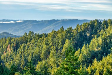 A breathtaking view in the mountains above Silicon Valley, perfect for hikers and travelers. The vibrant colors and picturesque landscape inspire exploration and adventure. clipart