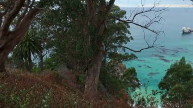 California 'daki 1. Otoyol boyunca Pasifik kıyısındaki McWay Şelaleleri' nin havadan görüntüsü. Büyük Sur, Lucia. Seyahat konsepti, turizm, seyahat, tatil. 4K video.