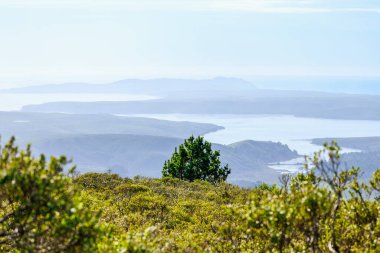 Point Reyes, California 'nın nefes kesici hava manzarası Pasifik Okyanusu' yla çevrili dramatik sahil uçurumlarını gösteriyor. Doğa aşıkları, fotoğrafçılar ve açık hava için çarpıcı bir yer.