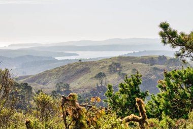 Breathtaking aerial view of Point Reyes, California, showcasing dramatic coastal cliffs surrounded by the Pacific Ocean. A stunning destination for nature lovers, photographers, and outdoor clipart