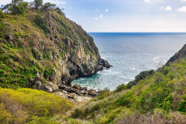 Partington Koyu, Big Sur tarihinin özel bir parçasını barındırıyor. Güneş kabuğu ve kerestelerin çoğu bu koydan gönderildi.