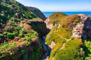 Davenport Beach, olarak da bilinen köpekbalığı dişi Beach Davenport California'da bulunan yerli halk tarafından. Davenport favori turistik durağıdır kıyı boyunca.