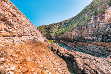 Davenport Beach, olarak da bilinen köpekbalığı dişi Beach Davenport California'da bulunan yerli halk tarafından. Davenport favori turistik durağıdır kıyı boyunca.