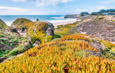 Davenport Beach, olarak da bilinen köpekbalığı dişi Beach Davenport California'da bulunan yerli halk tarafından. Davenport favori turistik durağıdır kıyı boyunca.