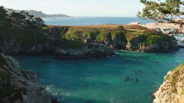 Point Lobos Eyaleti 'nin Kaliforniya' daki Doğal Rezervi engebeli uçurumları, kristal berrak suları ve çeşitli deniz yaşamları olan bir kıyı cennetidir. Yürüyüş, fotoğraf ve vahşi yaşam keşifleri için ziyaret yeri