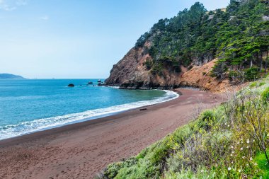 Kaliforniya 'daki Kirby Koyu Sahili' nde kırmızı kum, mavi okyanus dalgaları ve çam ağaçlarıyla kaplı dramatik uçurumlar. San Francisco yakınlarında gizli bir mücevher, doğa, seyahat ve kıyı keşfi temaları için mükemmel.