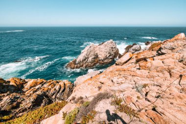 Kaliforniya 'daki Point Lobos State Natural Reserve' de turkuaz sular, engebeli uçurumlar ve berrak bir gökyüzü altında canlı kıyı bitkileri bulunur.
