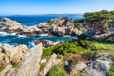 Kaliforniya 'daki Point Lobos State Natural Reserve' de turkuaz sular, engebeli uçurumlar ve berrak bir gökyüzü altında canlı kıyı bitkileri bulunur.