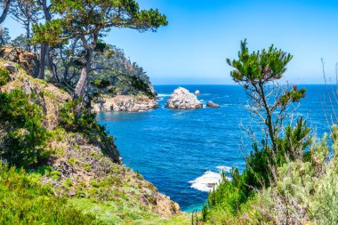 Kaliforniya 'daki Point Lobos State Natural Reserve' de turkuaz sular, engebeli uçurumlar ve berrak bir gökyüzü altında canlı kıyı bitkileri bulunur.
