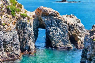 Kaliforniya 'daki Point Lobos State Natural Reserve' de turkuaz sular, engebeli uçurumlar ve berrak bir gökyüzü altında canlı kıyı bitkileri bulunur.