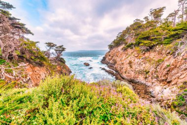 Point Lobos, California 'dan nefes kesici kıyı manzarası, engebeli uçurumlar, turkuaz dalgalar, Monterey selvi ağaçları ve dramatik gökyüzü. Doğa severler için el değmemiş ve vahşi bir Pasifik manzarası.