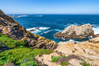 Kaliforniya 'daki Point Lobos State Natural Reserve' de turkuaz sular, engebeli uçurumlar ve berrak bir gökyüzü altında canlı kıyı bitkileri bulunur.