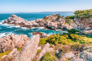 Kaliforniya 'daki Point Lobos State Natural Reserve' de turkuaz sular, engebeli uçurumlar ve berrak bir gökyüzü altında canlı kıyı bitkileri bulunur.