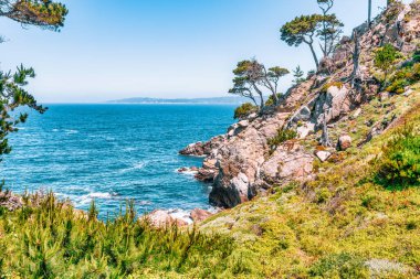 Kaliforniya 'daki Point Lobos State Natural Reserve' de turkuaz sular, engebeli uçurumlar ve berrak bir gökyüzü altında canlı kıyı bitkileri bulunur.