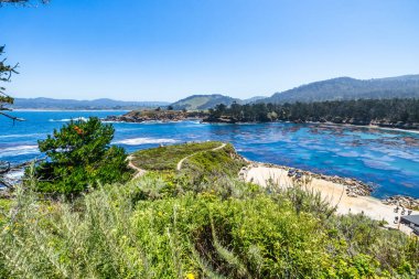 Kaliforniya 'daki Point Lobos State Natural Reserve' de turkuaz sular, engebeli uçurumlar ve berrak bir gökyüzü altında canlı kıyı bitkileri bulunur.