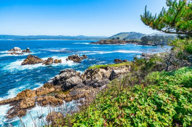 Kaliforniya 'daki Point Lobos State Natural Reserve' de turkuaz sular, engebeli uçurumlar ve berrak bir gökyüzü altında canlı kıyı bitkileri bulunur.