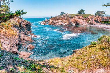 Kaliforniya 'daki Point Lobos State Natural Reserve' de turkuaz sular, engebeli uçurumlar ve berrak bir gökyüzü altında canlı kıyı bitkileri bulunur.