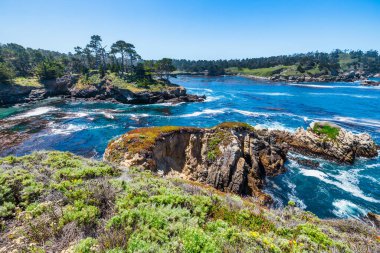 Kaliforniya 'daki Point Lobos State Natural Reserve' de turkuaz sular, engebeli uçurumlar ve berrak bir gökyüzü altında canlı kıyı bitkileri bulunur.