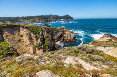 Kaliforniya 'daki Point Lobos State Natural Reserve' de turkuaz sular, engebeli uçurumlar ve berrak bir gökyüzü altında canlı kıyı bitkileri bulunur.