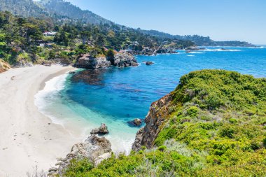 Kaliforniya 'daki Point Lobos State Natural Reserve' de turkuaz sular, engebeli uçurumlar ve berrak bir gökyüzü altında canlı kıyı bitkileri bulunur.