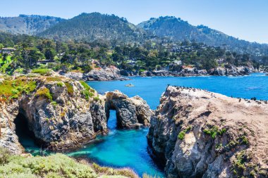 Kaliforniya 'daki Point Lobos State Natural Reserve' de turkuaz sular, engebeli uçurumlar ve berrak bir gökyüzü altında canlı kıyı bitkileri bulunur.