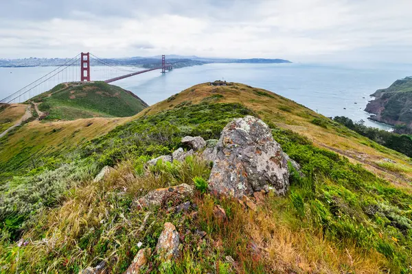 San Francisco Körfezi 'ni kaplayan Golden Gate Köprüsü' nün panoramik manzarası. Şehir manzarası, yemyeşil tepeler ve tekneler bulutlu bir bahar gününde yüksek bir noktadan çekiliyor.