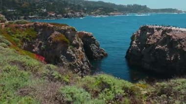 Kaliforniya 'daki Point Lobos Eyaleti Doğal Rezervi turkuvaz suları, engebeli uçurumları ve canlı kıyı manzarasıyla. Big Sur bölgesinde güneşli bir günde sakin okyanus manzarası, seyahat temaları için ideal
