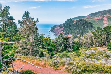 Marin Burnu, Kaliforniya 'da Pasifik Okyanusu' nun yukarısındaki gür kıyı ormanları ve engebeli uçurumlar. Yeşil çam ağaçlarının manzarası ve açık mavi gökyüzünün altında dramatik kıyı şeridi.