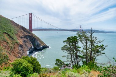 Golden Gate Köprüsü manzarası San Francisco 'daki Marin Burnu' ndaki yıpranmış ağaç tarafından çerçevelenmiş. Doğa, güneşli bir günde dramatik kıyı manzarasında şehir simgesiyle karşılaşır.