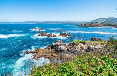 Kaliforniya 'daki Point Lobos State Natural Reserve' de turkuaz sular, engebeli uçurumlar ve berrak bir gökyüzü altında canlı kıyı bitkileri bulunur.