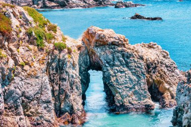 Kaliforniya 'daki Point Lobos State Natural Reserve' de turkuaz sular, engebeli uçurumlar ve berrak bir gökyüzü altında canlı kıyı bitkileri bulunur.