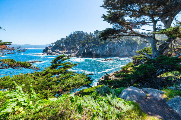 Point Lobos State Natural Reserve in California USA features turquoise waters, rugged cliffs, and vibrant coastal vegetation under a clear sky