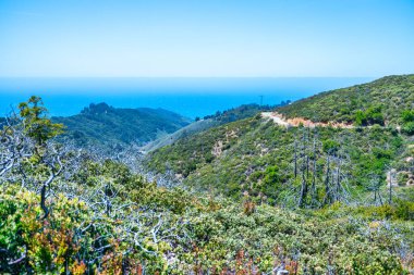 Julia Pfeiffer Burns Eyalet Parkı 'ndaki yeşil dağların ve orman yollarının manzarası California Pasifik Sahili boyunca yürüyüş maceraları için mükemmel.