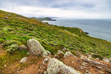Rocky tepeleri ve yemyeşil yeşillik Pasifik Okyanusu 'na bakıyor. Marin Burunlarında engebeli bir patika boyunca. San Francisco, California yakınlarında manzaralı bir kıyı bölgesi.