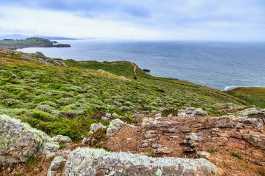 Rocky tepeleri ve yemyeşil yeşillik Pasifik Okyanusu 'na bakıyor. Marin Burunlarında engebeli bir patika boyunca. San Francisco, California yakınlarında manzaralı bir kıyı bölgesi.