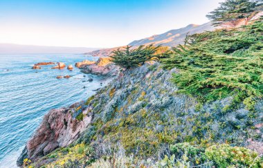 Kaliforniya, Big Sur yakınlarındaki Garrapata Eyalet Parkı 'nda manzaralı bir sahil manzarası, engebeli uçurumlar, canlı bitkiler ve açık bir bahar gününde Pasifik Okyanusu boyunca uzanan ikonik 1.