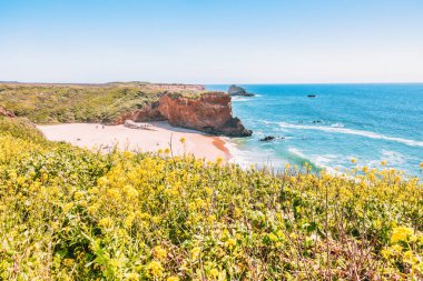 Kaliforniya 'daki Panther Sahili, açık bir bahar gününde, 1. Otoyol' un hemen dışında, yabani sarı çiçekleri, turkuaz dalgaları ve engebeli uçurumları olan bir sahil kayalıklarından görülmektedir.