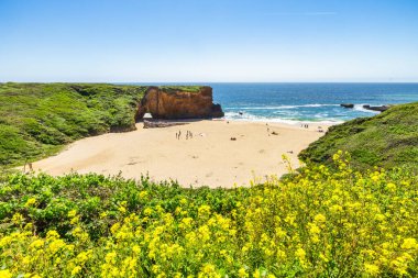 California 'daki Panther Sahili' nde turkuaz dalgalar, altın kum ve dramatik uçurumlar var. Açık bir bahar gününde yukarıdan görüldü.