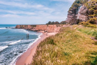 Davenport Sahili 'nin yukarısındaki engebeli uçurumlar boyunca okyanus manzarası ve Davenport İskelesi kalıntıları olan bir sahil yolu uzanıyor. Açık bir bahar gününde 1. Otoyol 'da manzara
