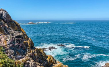 Lobos kıyı koyunu turkuvaz suları, engebeli kayalar ve parlak mavi gökyüzünün altında selvi ağaçları. 1. Otoyol yakınlarındaki California Pasifik Sahili 'nden sakin, el değmemiş bir manzara.