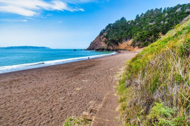 Kaliforniya 'daki Kirby Koyu Sahili' nde kırmızı kum, mavi okyanus dalgaları ve çam ağaçlarıyla kaplı dramatik uçurumlar. San Francisco yakınlarında gizli bir mücevher, doğa, seyahat ve kıyı keşfi temaları için mükemmel.