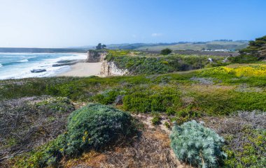 California 'daki 1. Otoyol yakınlarındaki Cotoni-Coast Dairies State Plajları' ndaki kayalıkların, kır çiçeklerinin ve kumlu plajların manzarası. Pasifik Okyanusu, güneşli bir gökyüzünün altında dokunulmamış kıyı doğasıyla buluşur.