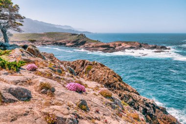 Kaliforniya 'daki Point Lobos State Natural Reserve' de turkuaz sular, engebeli uçurumlar ve berrak bir gökyüzü altında canlı kıyı bitkileri bulunur.