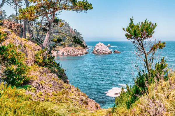 Kaliforniya 'daki Point Lobos State Natural Reserve' de turkuaz sular, engebeli uçurumlar ve berrak bir gökyüzü altında canlı kıyı bitkileri bulunur.
